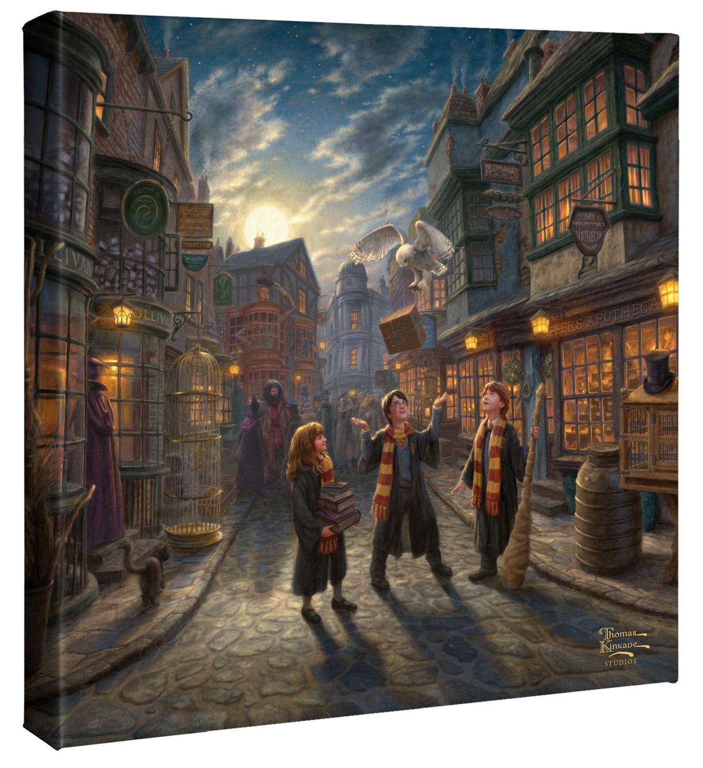 Walking around Diagon Alley, one can find all assortments of restaurants, shops, and other magical sights. Harry Potter, Ron Weasley, and Hermione Granger - Gallery Wrapped Canvas