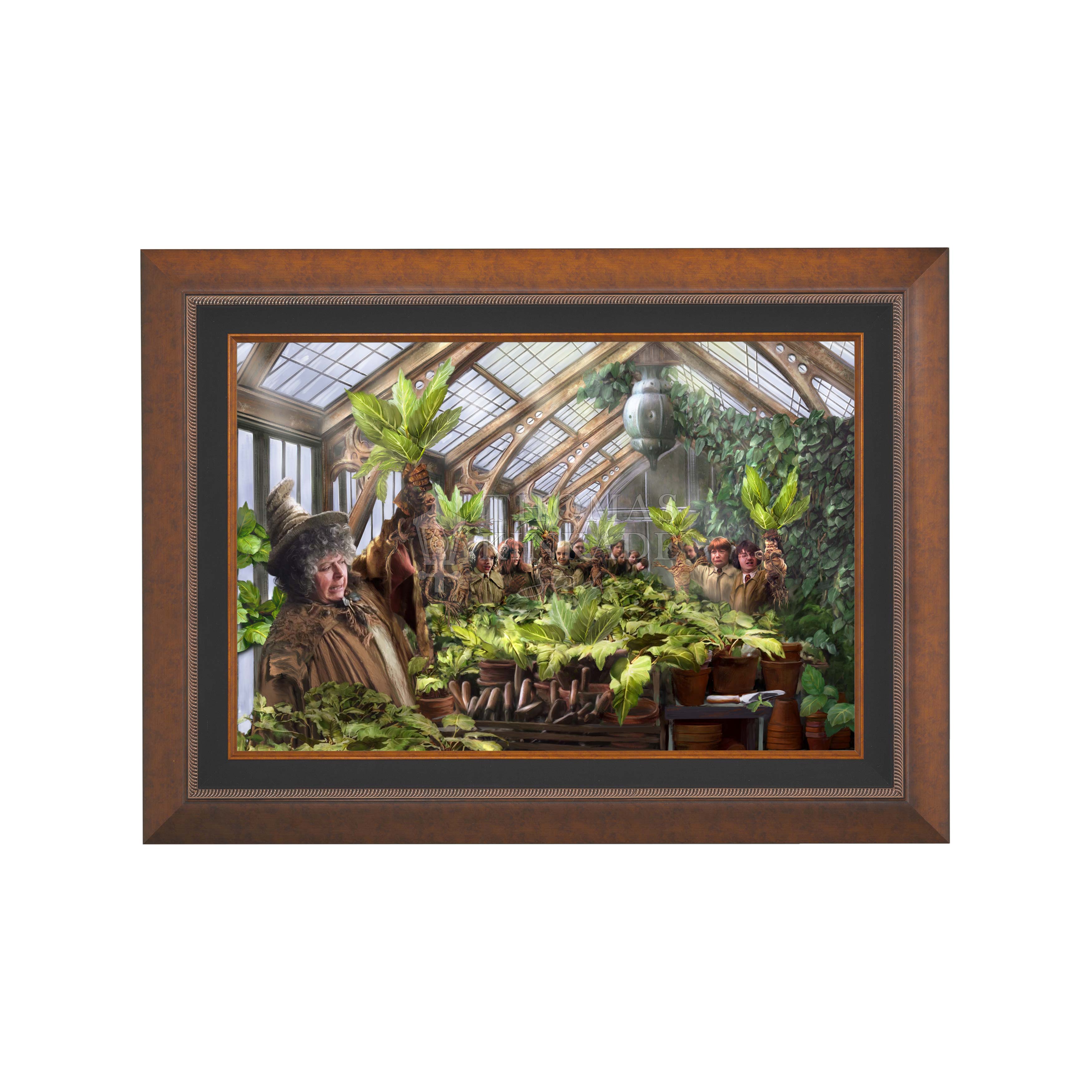 Aurora Copper - Frame