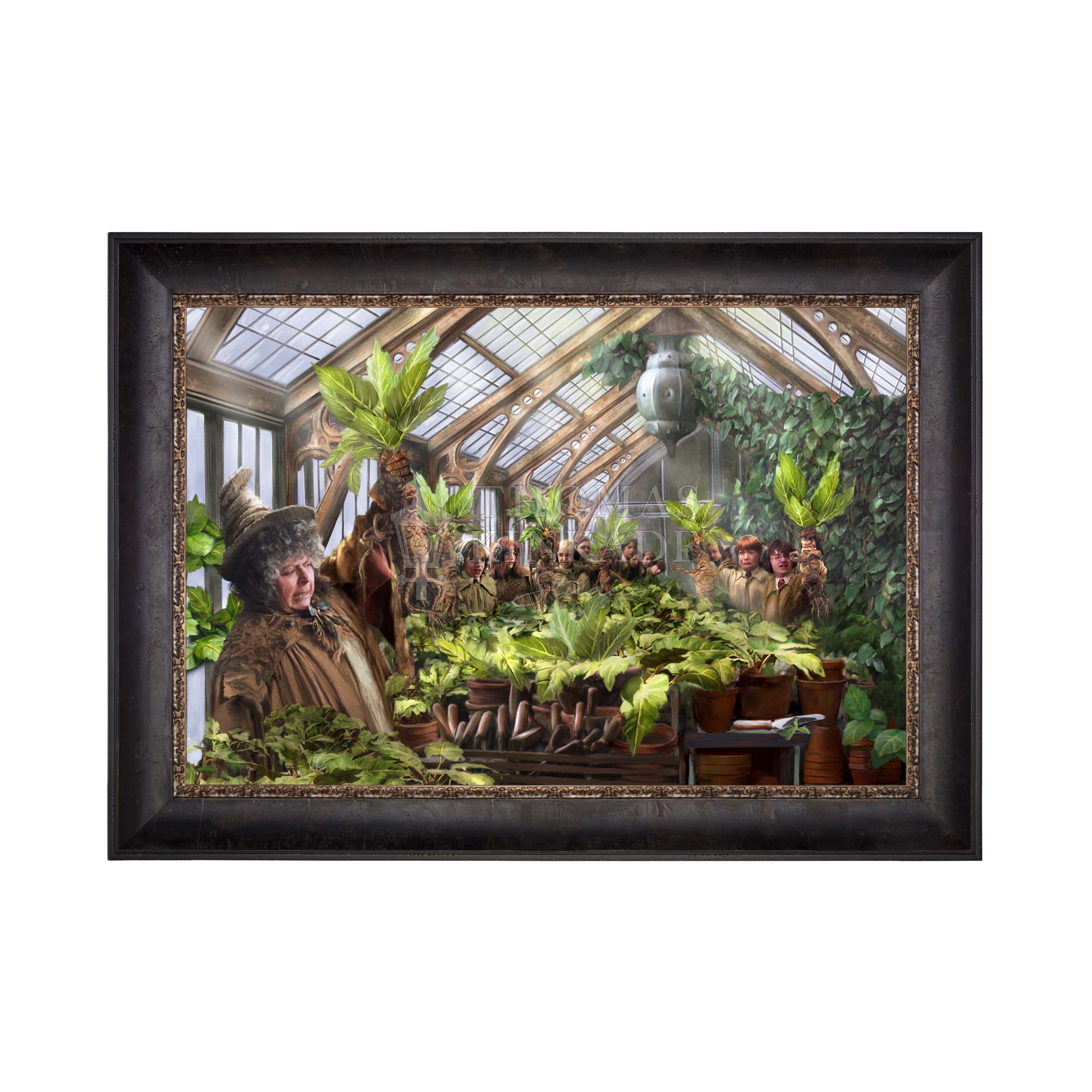 Cabernet - Frame