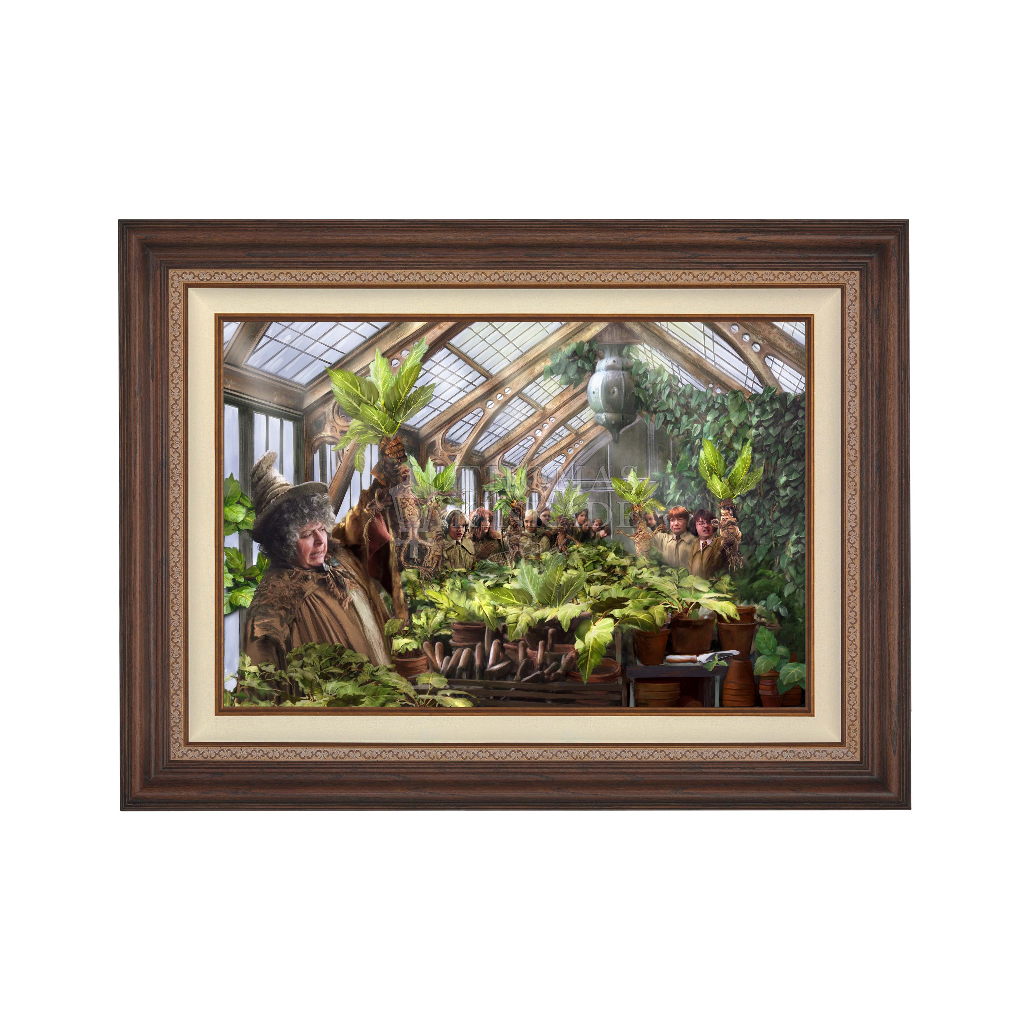 Dark Walnut - Frame