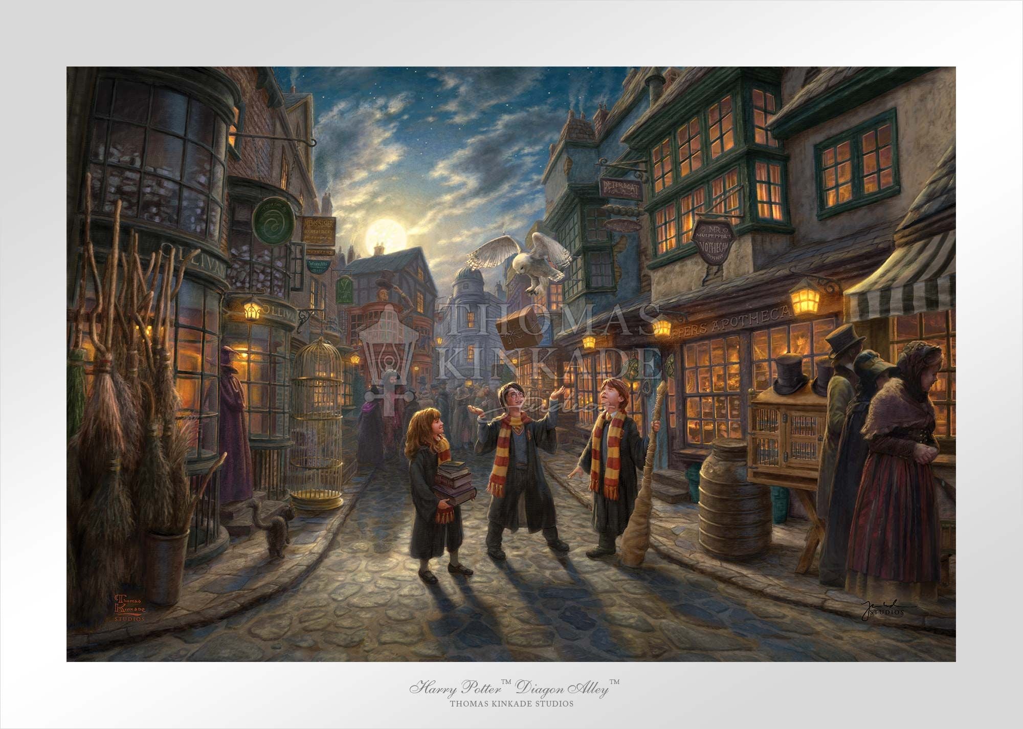 Harry Potter, Ron Weasley, and Hermione Granger all have ventured through the walled courtyard - Unframed paper