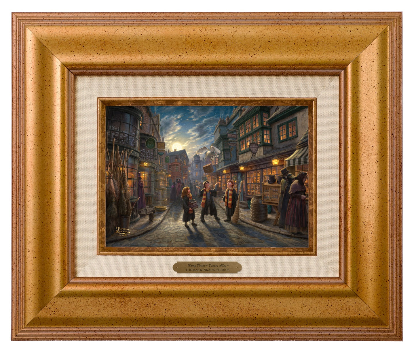Harry Potter, Ron Weasley, and Hermione Granger walking around Diagon Alley. Gold Frame
