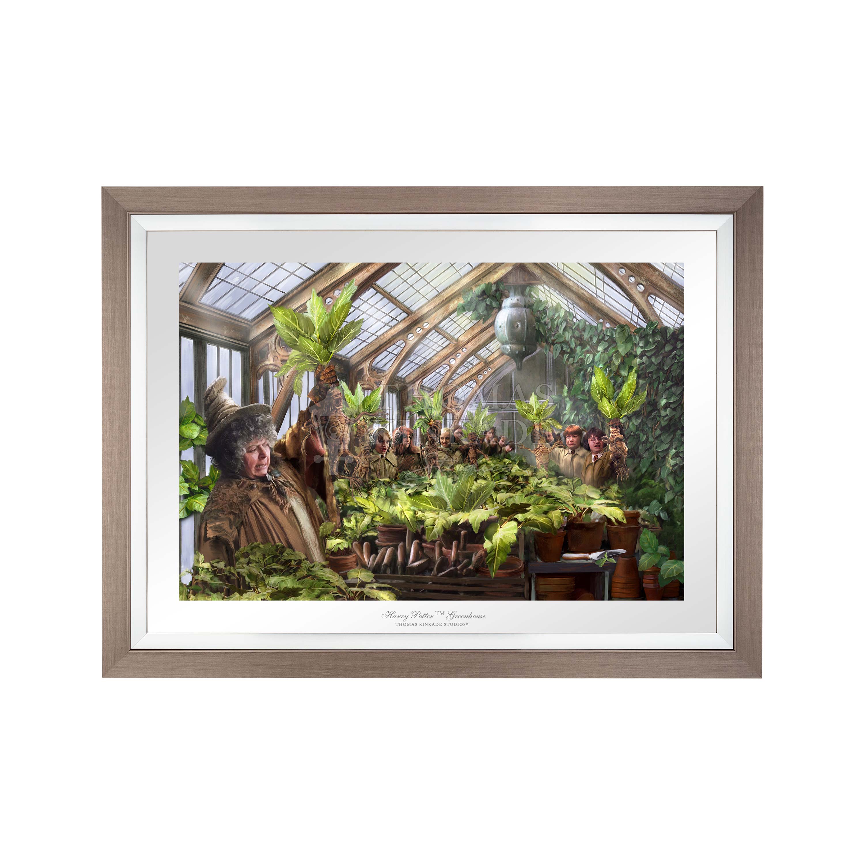 Harry Potter™ Hogwarts Greenhouse