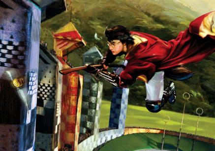 Harry is chasing Snitch around the Quidditch field on his wooden broom.