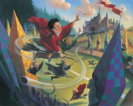 Peinture match de Quidditch Harry Potter - Muralconcept