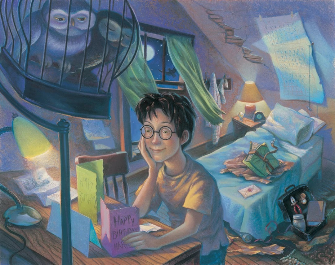 Harry reading his birthday cards and counting the days until he returns to Hogwarts.