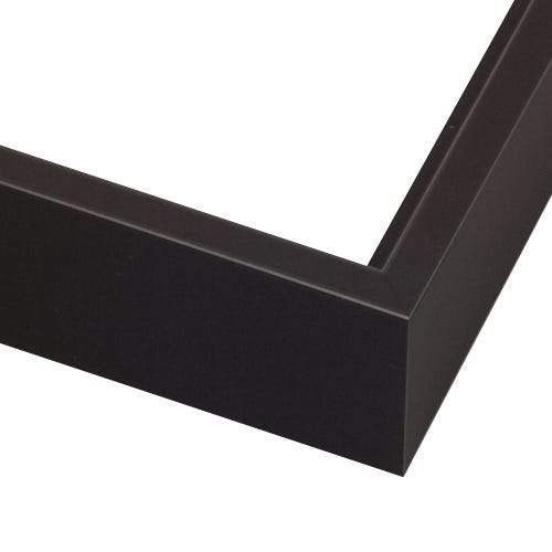 2" Depth Black Floater Frame - Sample