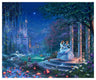 Cinderella is in the arms of her prince. Cinderella's dreams have come true under the Starlight