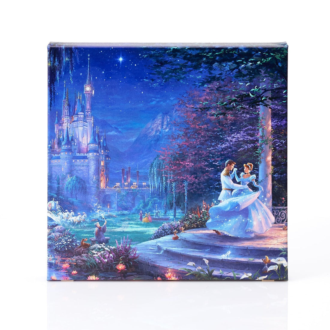 Cinderella Dancing in the Starlight