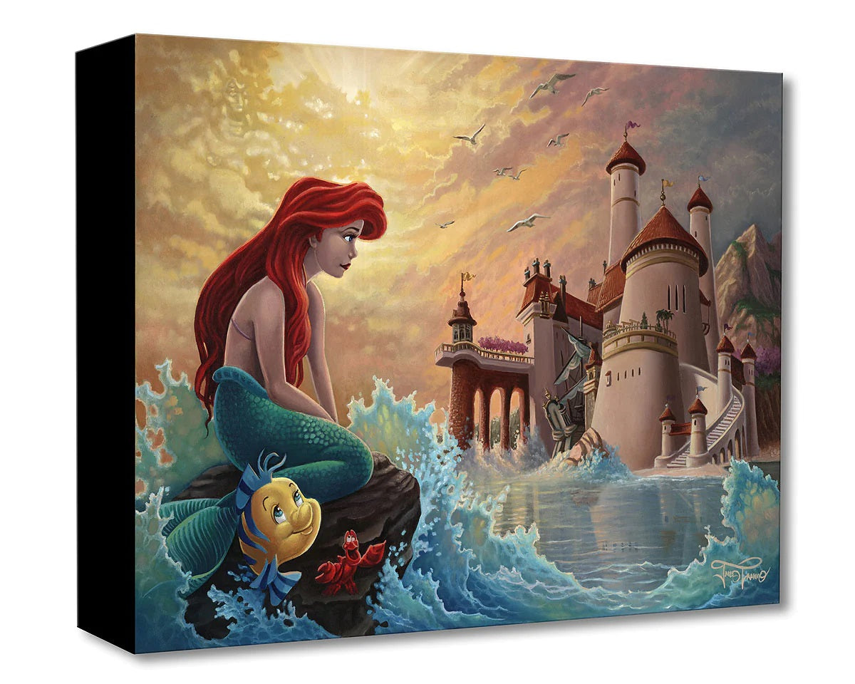 Ariel sitting on a rock as she looks at the castle where the prince lives