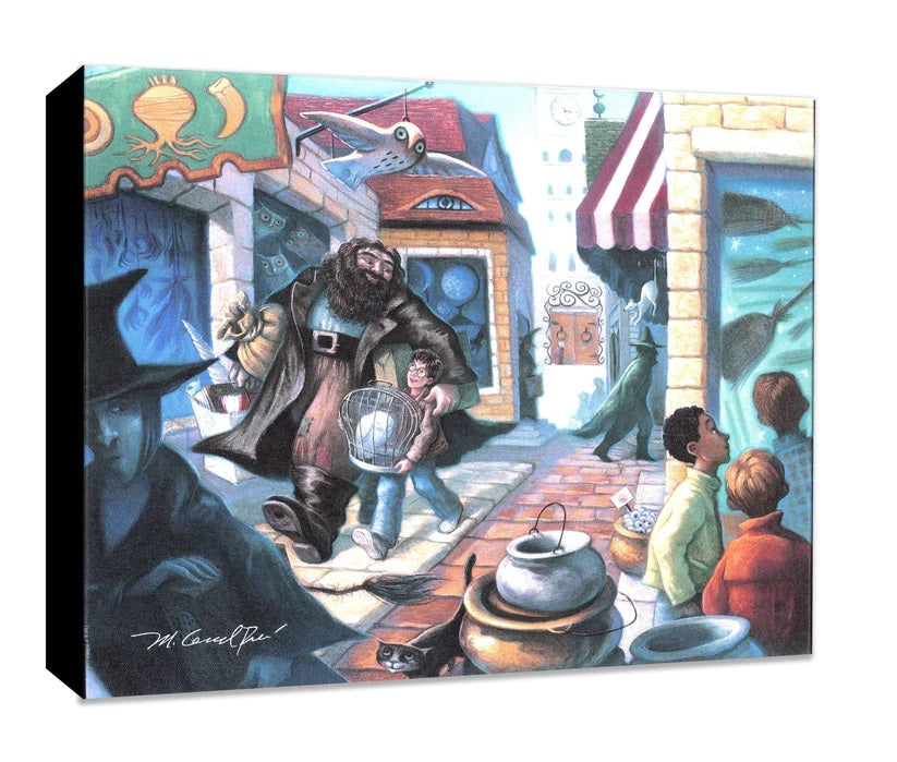 Harry and his friend walk through Diagon Alley. Gallery Wrapped Canvas