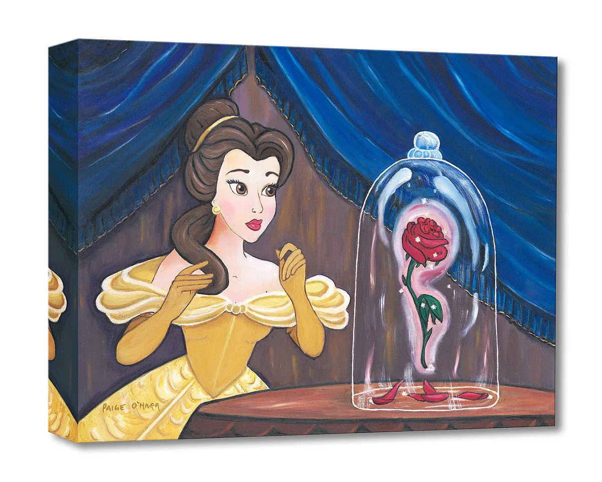 Belle Disney Rose Beauty