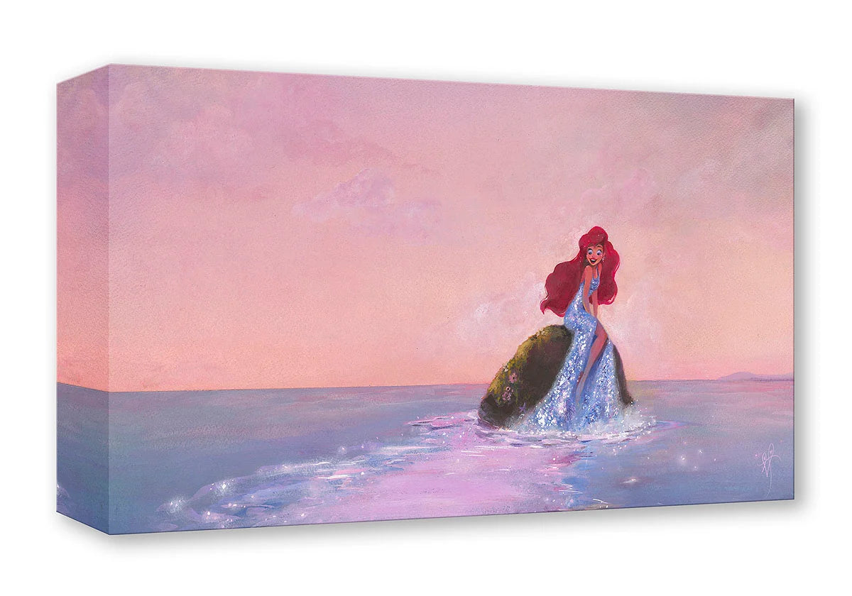 Ariel sits upon a rock, wearing a shimmering silver gem gown.