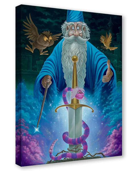 Merlin's Domain - Limited Edition By Jared Franco – Disney Art On