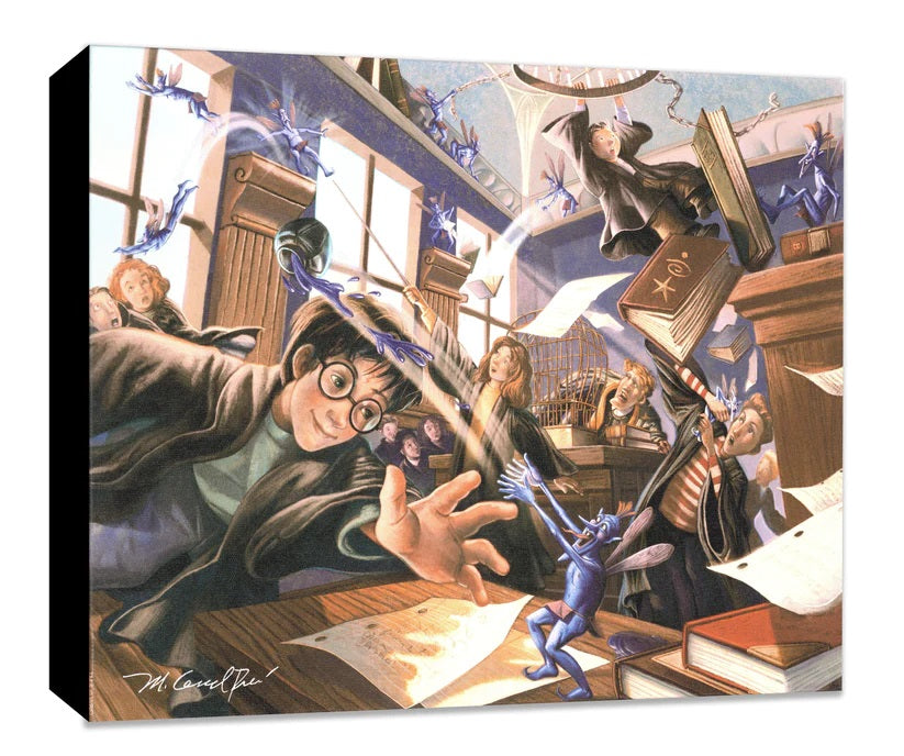 Harry trying to catch a flying creature. - Gallery Wrapped Canvas