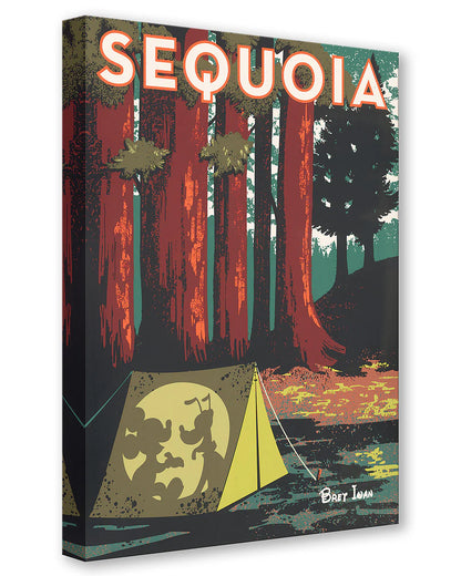 Sequoia