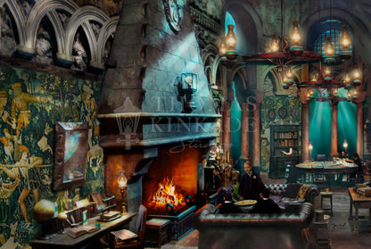 Harry Potter Slytherin Room