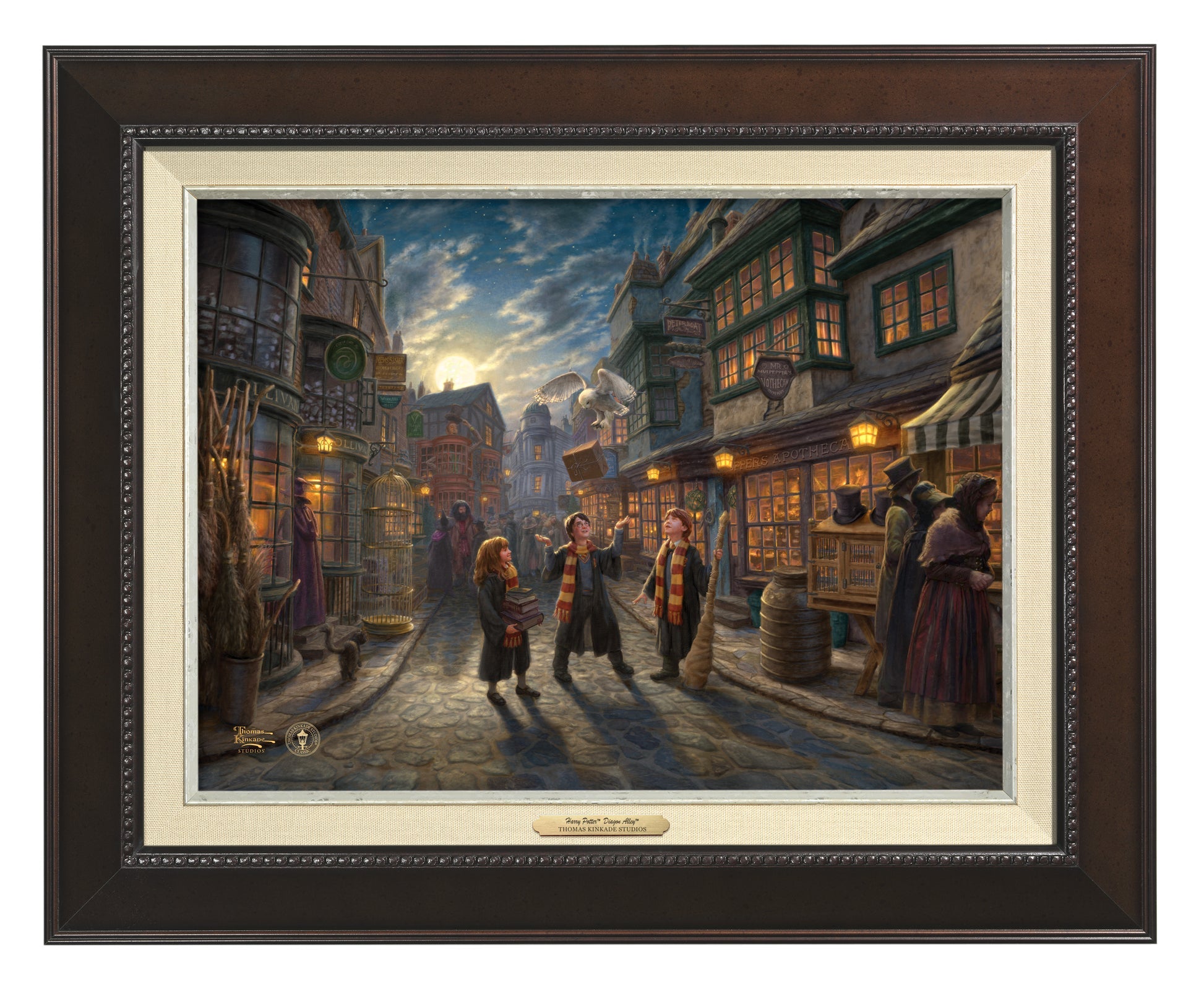 Harry Potter, Ron Weasley, and Hermione Granger walking around Diagon Alley - Espresso - Frame