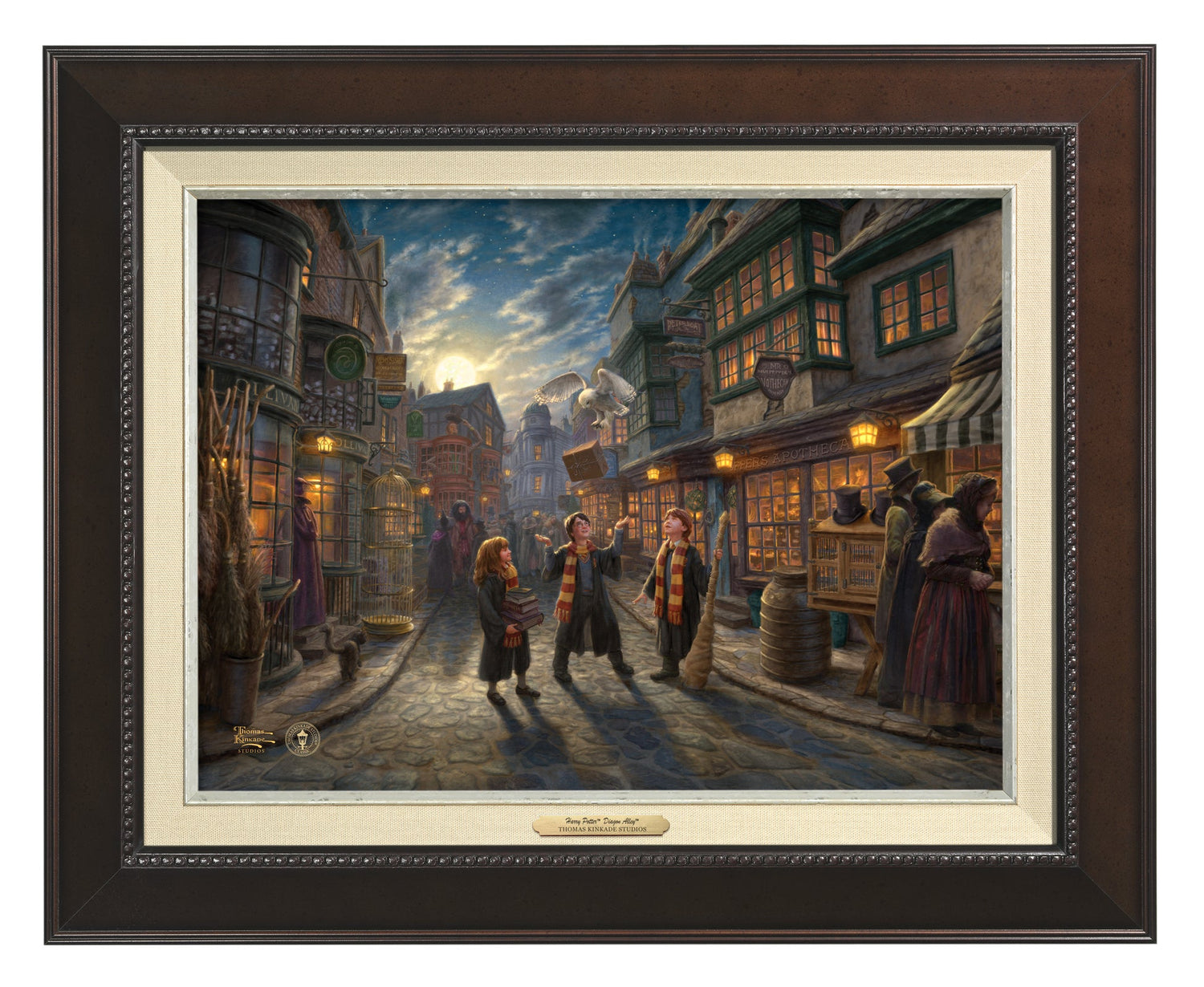 Harry Potter, Ron Weasley, and Hermione Granger walking around Diagon Alley - Espresso - Frame