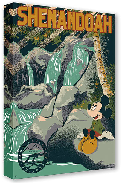Mickey watching the waterfall park - Gallery Wrapped Canvas