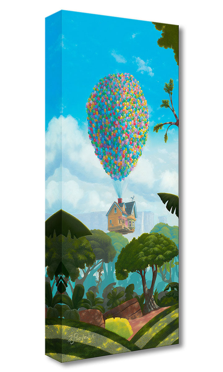 help of thousand helium balloons ty to it.