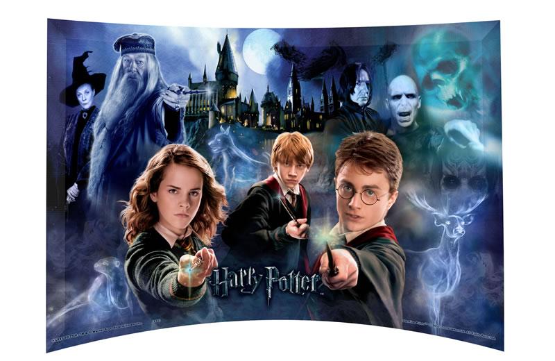Harry Potter 14" x 9" free-standing  curved glass