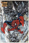 Spider-Man racing through the snow flakes.