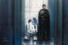 Features - Jedi™ Knight Luke Skywalker™ holding young Grogu and his faithful companion R2-D2™. - Unframed Canvas