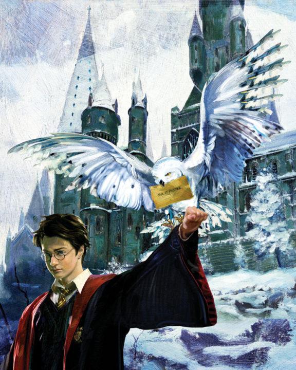 Harry stands ready to let the snowwhite Hegwig owl fly off with the message envelope in it's beak.