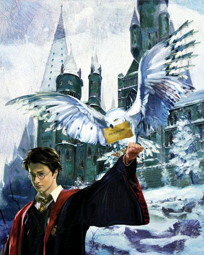 Harry stands ready to let the snowwhite Hegwig owl fly off with the message envelope in it&