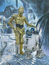 C3PO and R2-D2 wait at the south entrance 